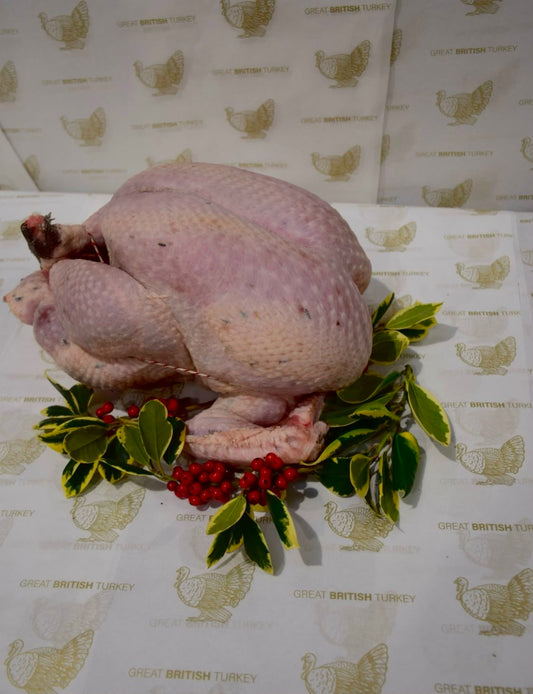 Whole Turkey